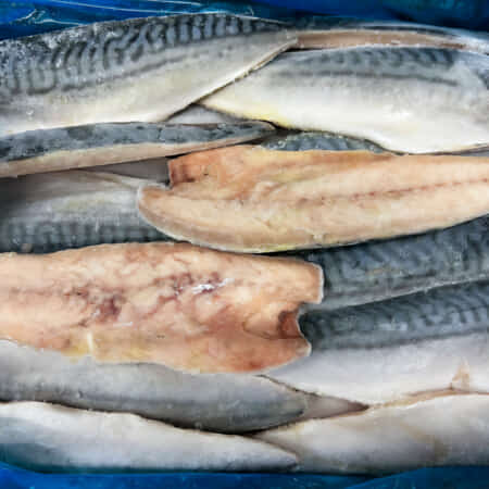 サバフィーレ｜豊洲で鮮魚・魚の発注なら丸十発注サイト