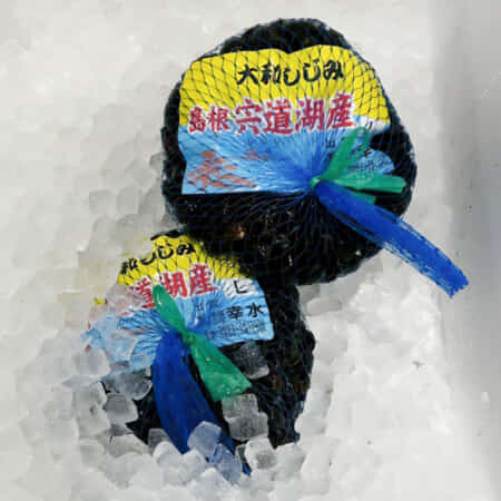 宍道湖シジミ(L)（1kg）｜豊洲で鮮魚・魚の発注なら丸十発注サイト